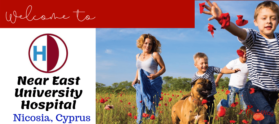 Universitätsklinikum des Nahen Ostens