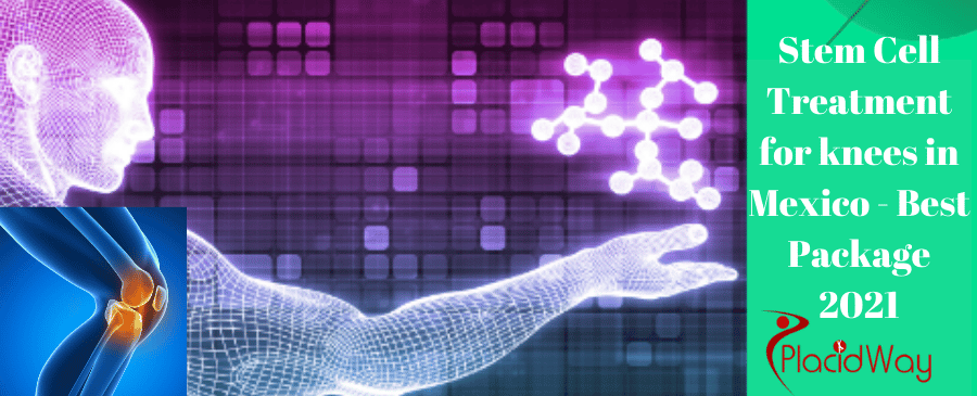 Terapia con células madre para rodillas en México Stem Cell Therapy for Knees in Mexico