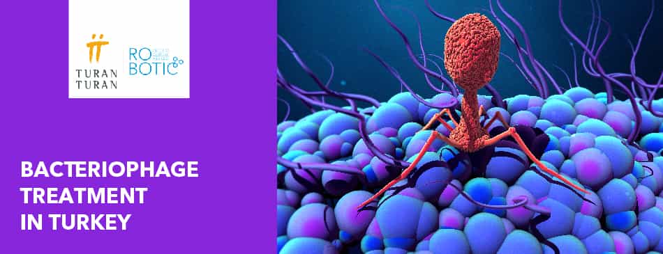 Tratamiento con bacteriófagos en Turquía: definición y procedimientos
