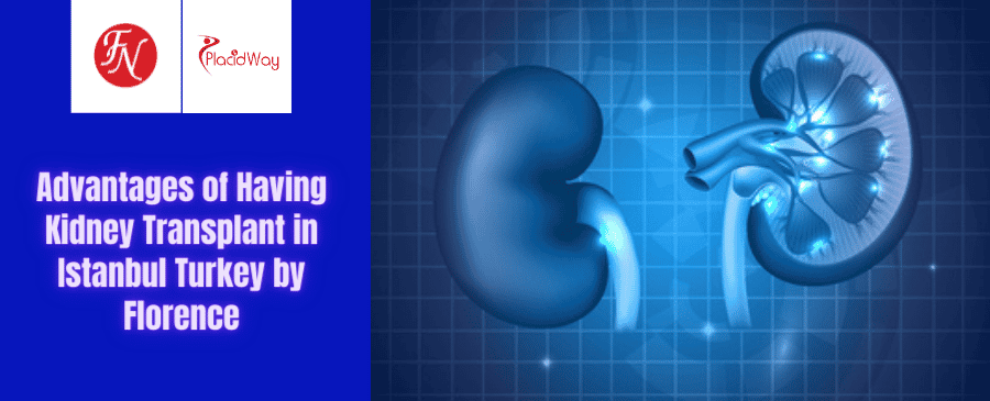 Paquete de trasplante de riñón en Estambul, Turquía, por Florence