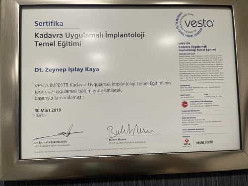 Premios por tratamiento dental en Estambul, Turquía, por Zeynep Isilay Kaya