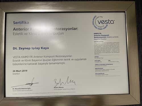 Premios por tratamiento dental en Estambul, Turquía, por Zeynep Isilay Kaya