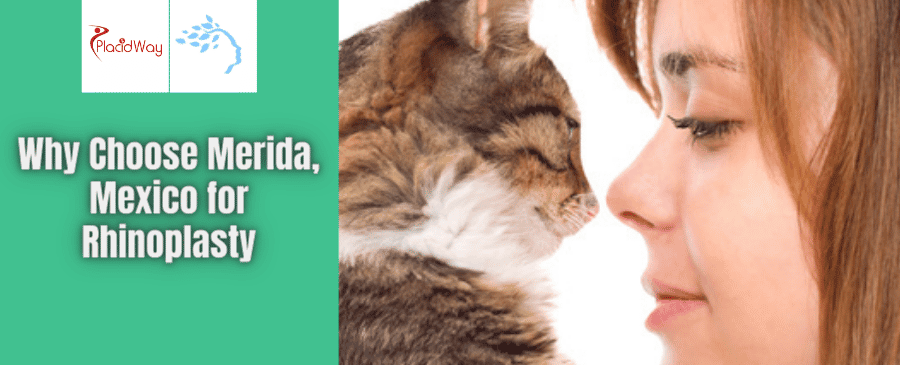 Paquete de Rinoplastia en Mérida, México por el Dr. Ernesto Javier Acosta Abeyta