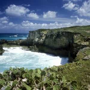 Disfrute de las playas de arena blanca y los resorts de lujo de Punta Cana