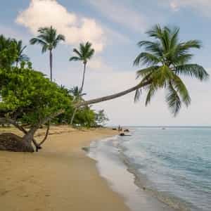 Avistamiento de ballenas en la bahía de Samaná