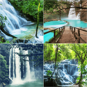 Mexico Waterfall jungle