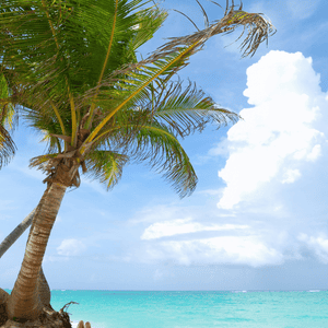 Dominican Republic Beach