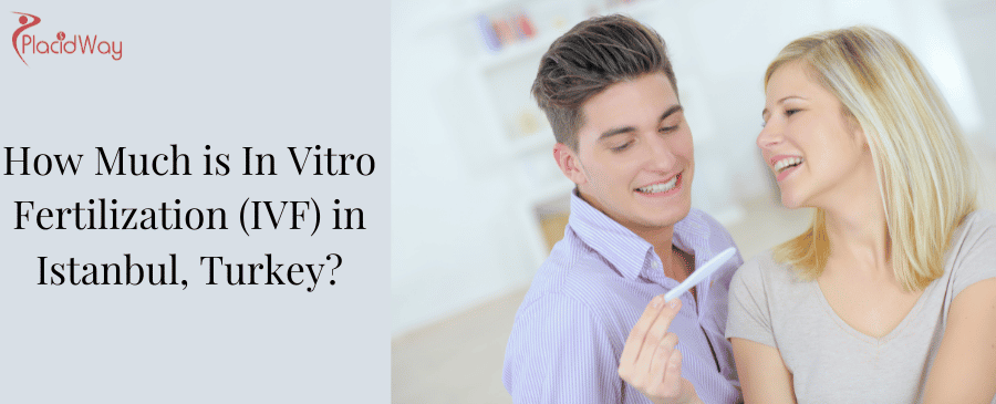 IVF Cost in Istanbul, Turkey