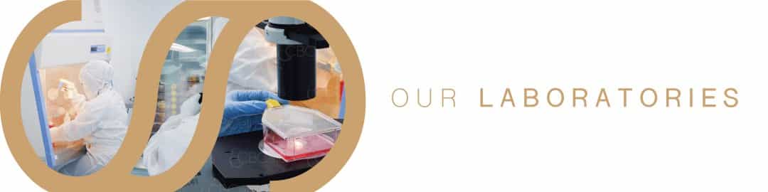 Normas de buenas prácticas de fabricación (BPF) en StemCells Center