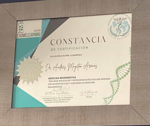 Premios de la Clínica NES