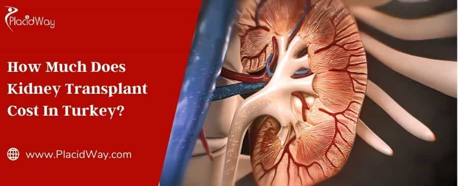 How Much Does Kidney Transplant Cost In Turkey?