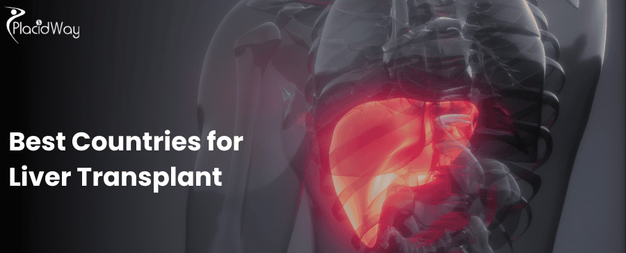 Best Countries for Liver Transplant