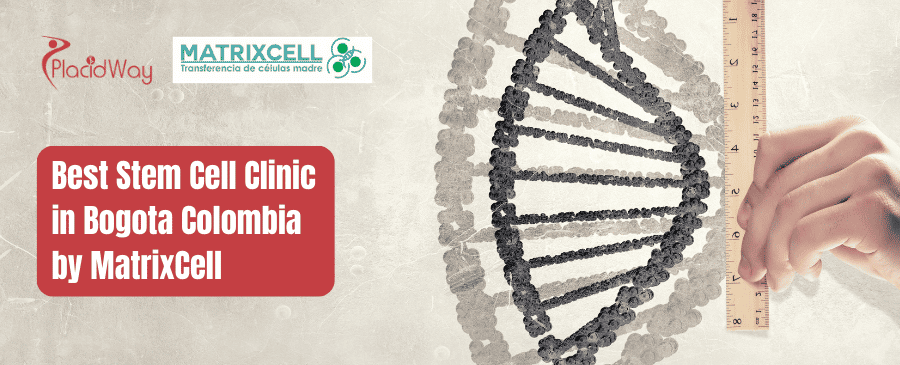 MatrixCell en Bogotá, Colombia