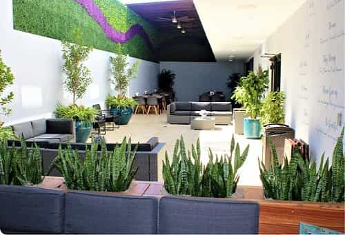 Terapia con células madre del Immunity Therapy Center