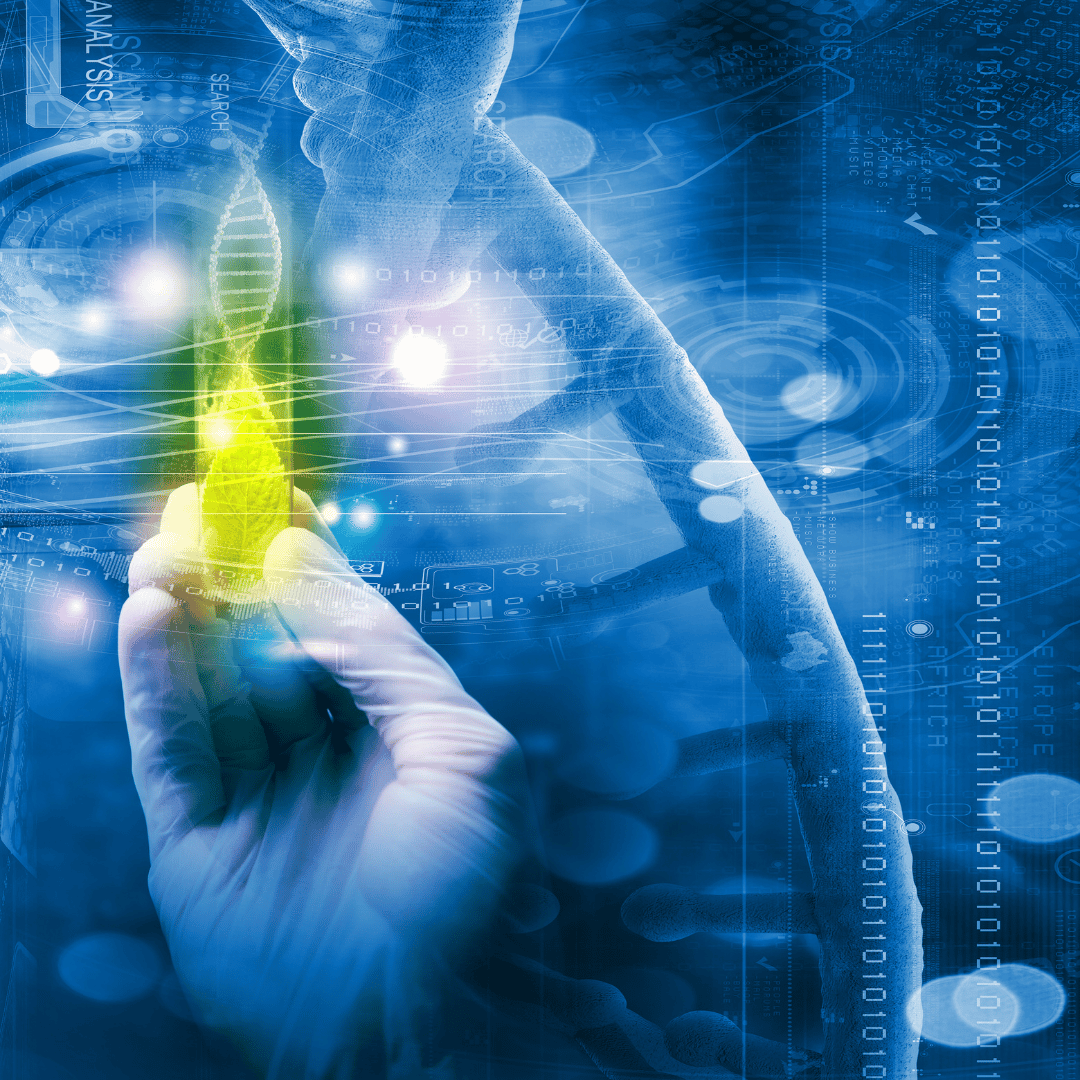 Stammzellenpakete in Indien