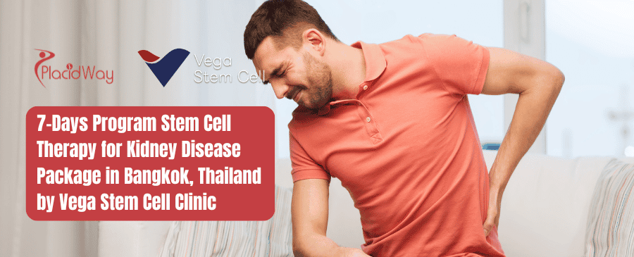 7-Tage-Programm zur Stammzellentherapie bei Nierenerkrankungen in Bangkok, Thailand, von der Vega Stem Cell Clinic