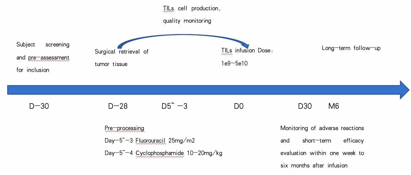 حزمة علاجية لسرطان الجلد باستخدام الخلايا اللمفاوية المتسللة للورم في الصين