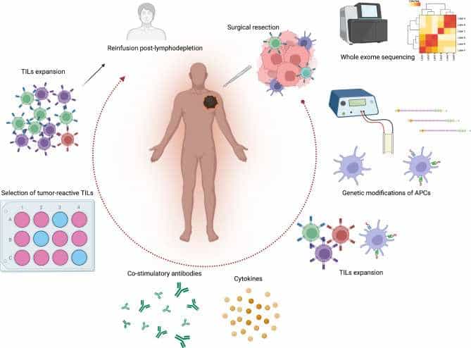 حزمة بيوكوس، بكين، الصين