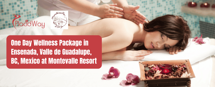 Paquete de bienestar de un día en Ensenada, Valle de Guadalupe, México en Montevalle Resort