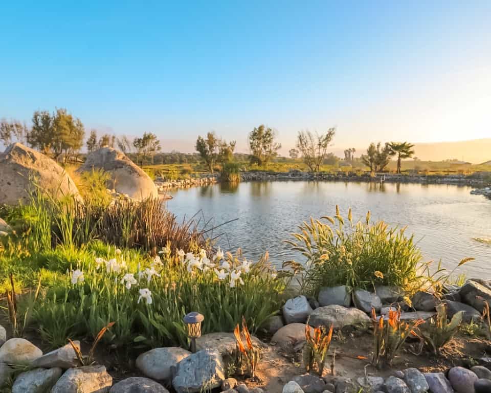Montevalle Lake in Valle de Guadalupe Mexico