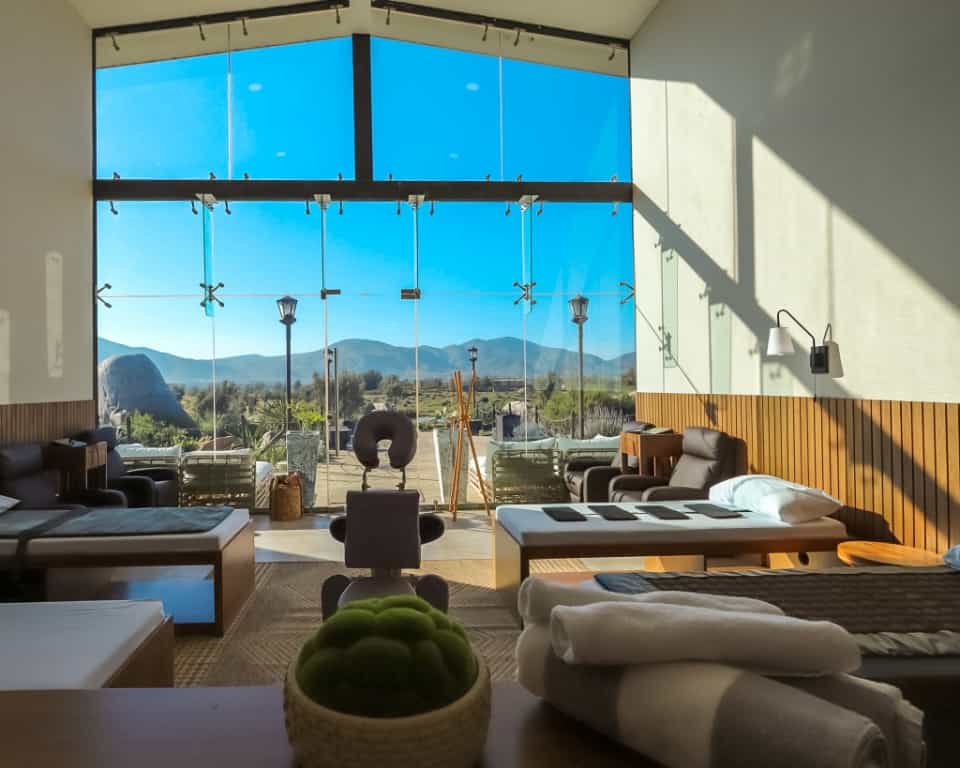 Detox at Montevalle in Valle de Guadalupe Mexico