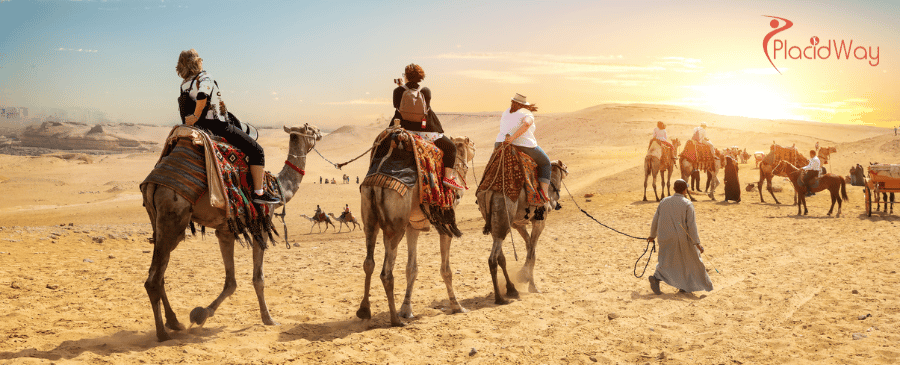 عيادة سوليتير لطب الأسنان