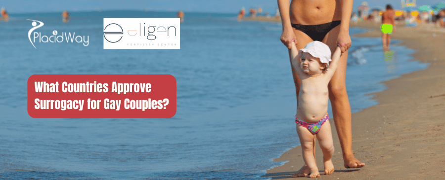 What Countries Approve Surrogacy for Gay Couples