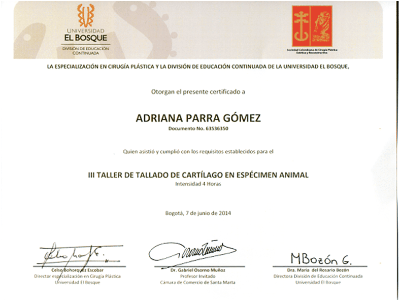 Certificado Universidad El Bosque