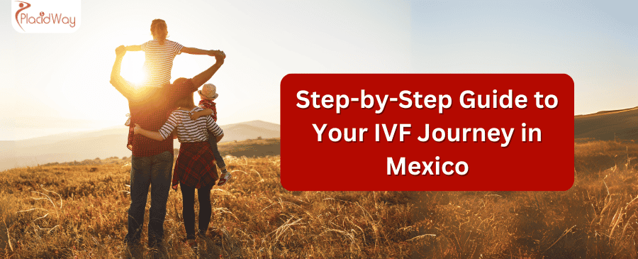 Ivf Journey