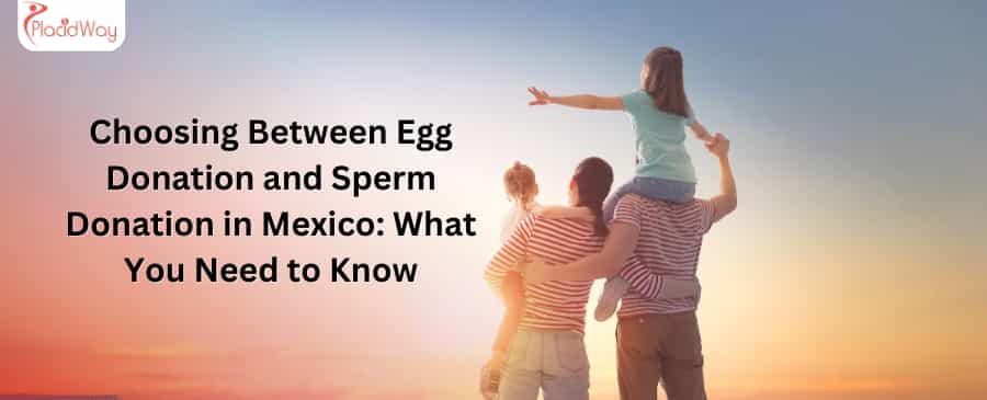 Egg Donation