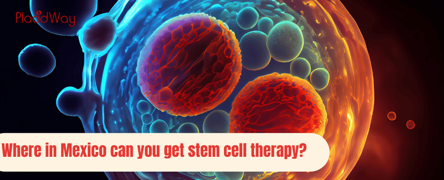 Where In Mexico Can You Get Stem Cell Therapy