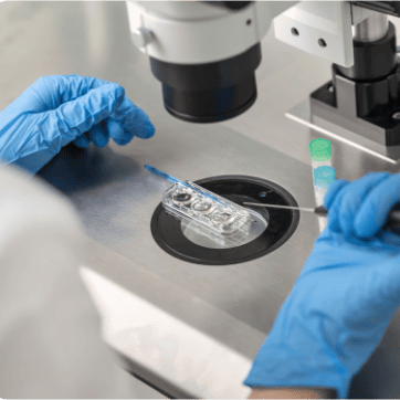 FIV en Cancún México