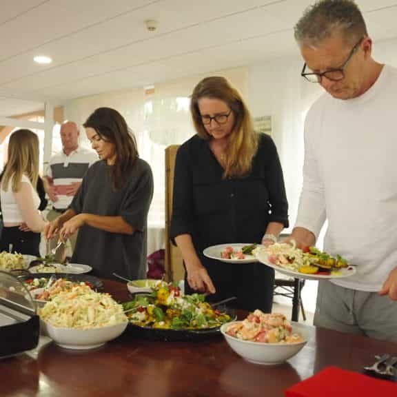 La recuperación del Satori en España