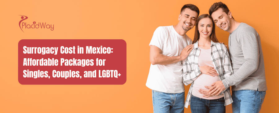 Costo de la gestación subrogada en México: Paquetes LGBT asequibles