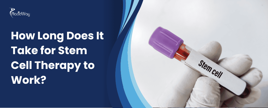 Gloved hand holds a vial labeled "Stem cell" against a white background. Blue curve with text asks about stem cell therapy duration. Medical theme.