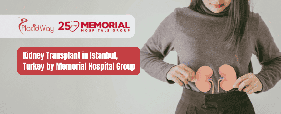 زراعة الكلى في إسطنبول، تركيا بواسطة مجموعة مستشفيات ميموريال