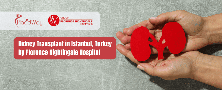Nierentransplantation in Istanbul, Türkei, durch das Florence Nightingale Hospital