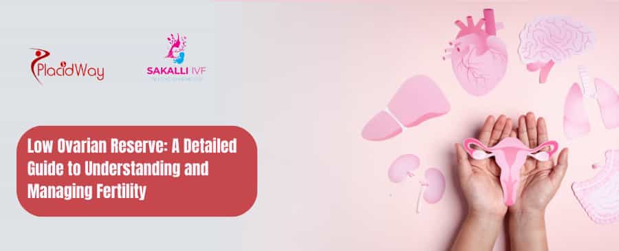 Low Ovarian Reserve A Detailed Guide to Understanding and Managing Fertility