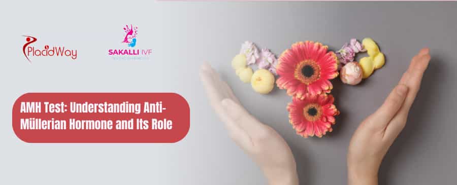 AMH Test: Understanding Anti-Mullerian Hormone and Its Role