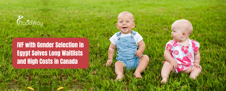 التلقيح الصناعي مع اختيار جنس المولود في مصر يحل مشكلة قوائم الانتظار الطويلة والتكاليف المرتفعة في كندا