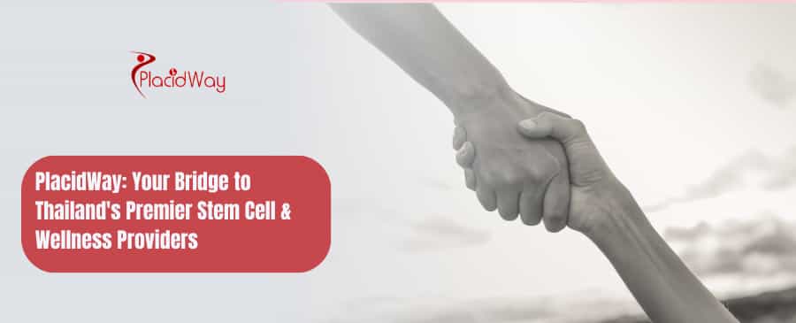 PlacidWay: Your Bridge to Thailand's Premier Stem Cell & Wellness Providers
