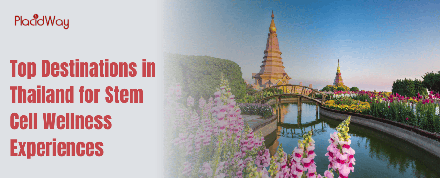 Top Destinations in Thailand for Stem Cell Wellness Experiences