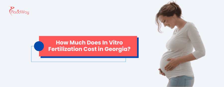 How much does In Vitro Fertilization cost in Georgia?