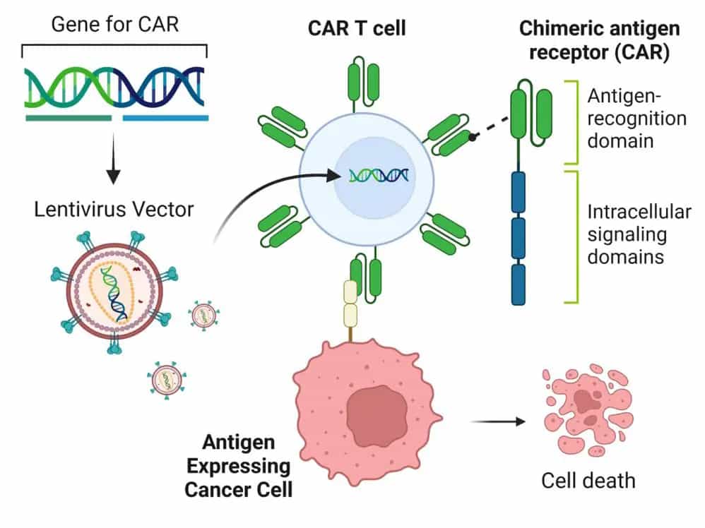 CAR T Cell Therapy in China