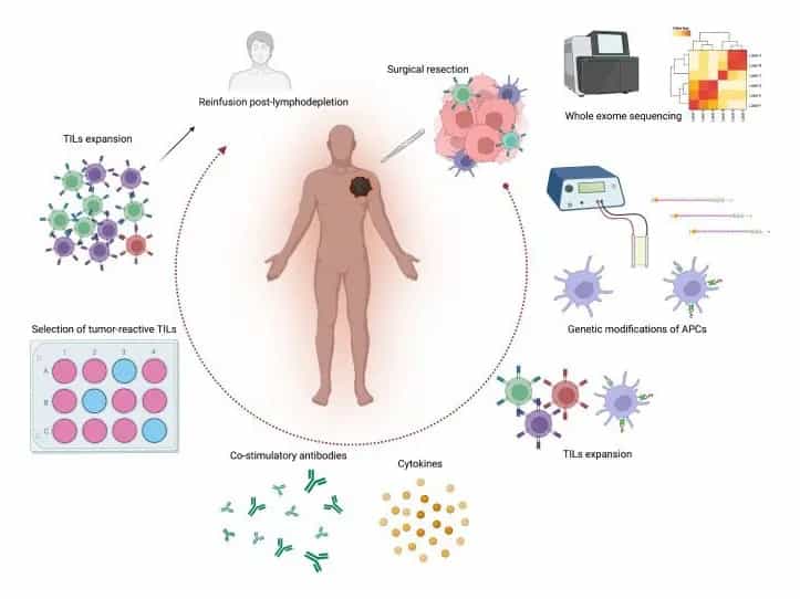 Cancer Treatment China