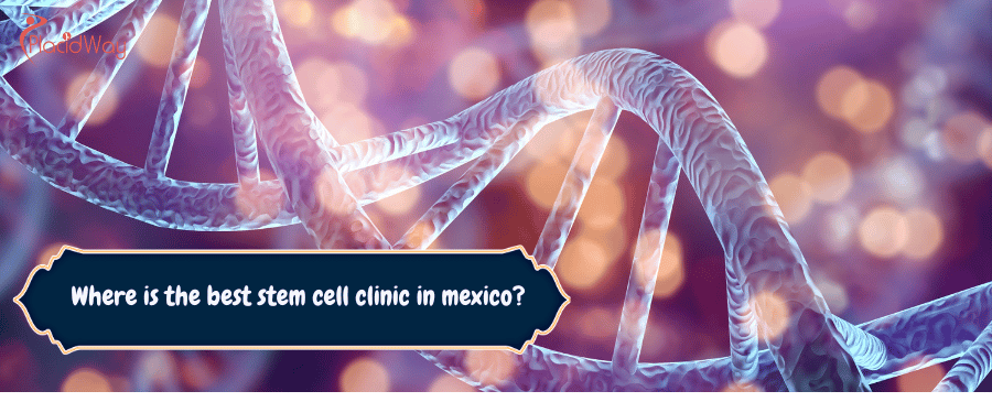 La mejor clínica de células madre en México