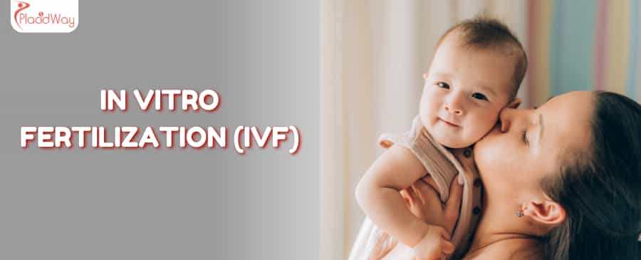 IVF clinic in Egypt