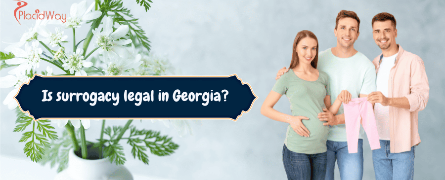 Is surrogacy legal in Georgia