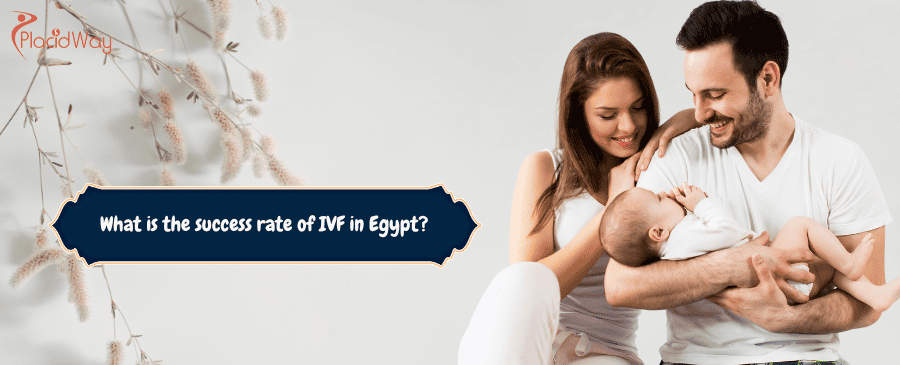  IVF in Egypt
