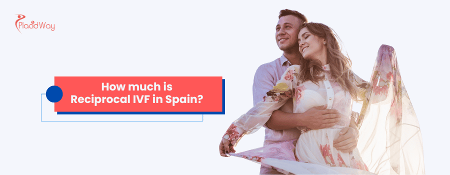 ¿Cuanto cuesta la FIV Recíproca en España?